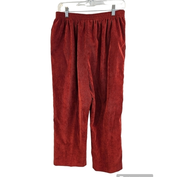 3/$25 Alfred Dunner Size 16P Rust Colored Pull On Pants - Picture 2 of 3
